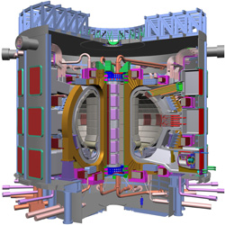 Coupe du Tokamak du réacteur ITER (Copyright ITER Organization)